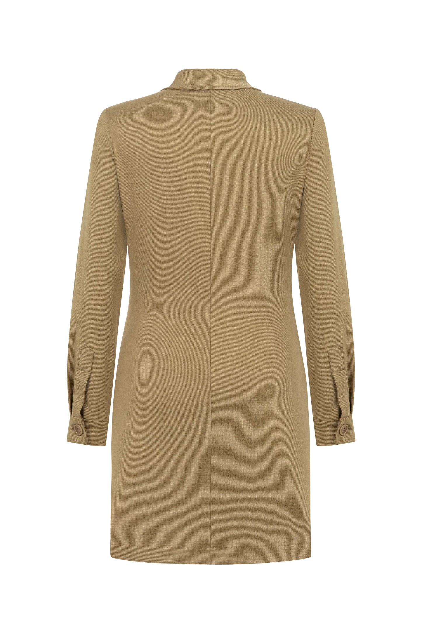 SEIZE THE DAY LUNN DRESS