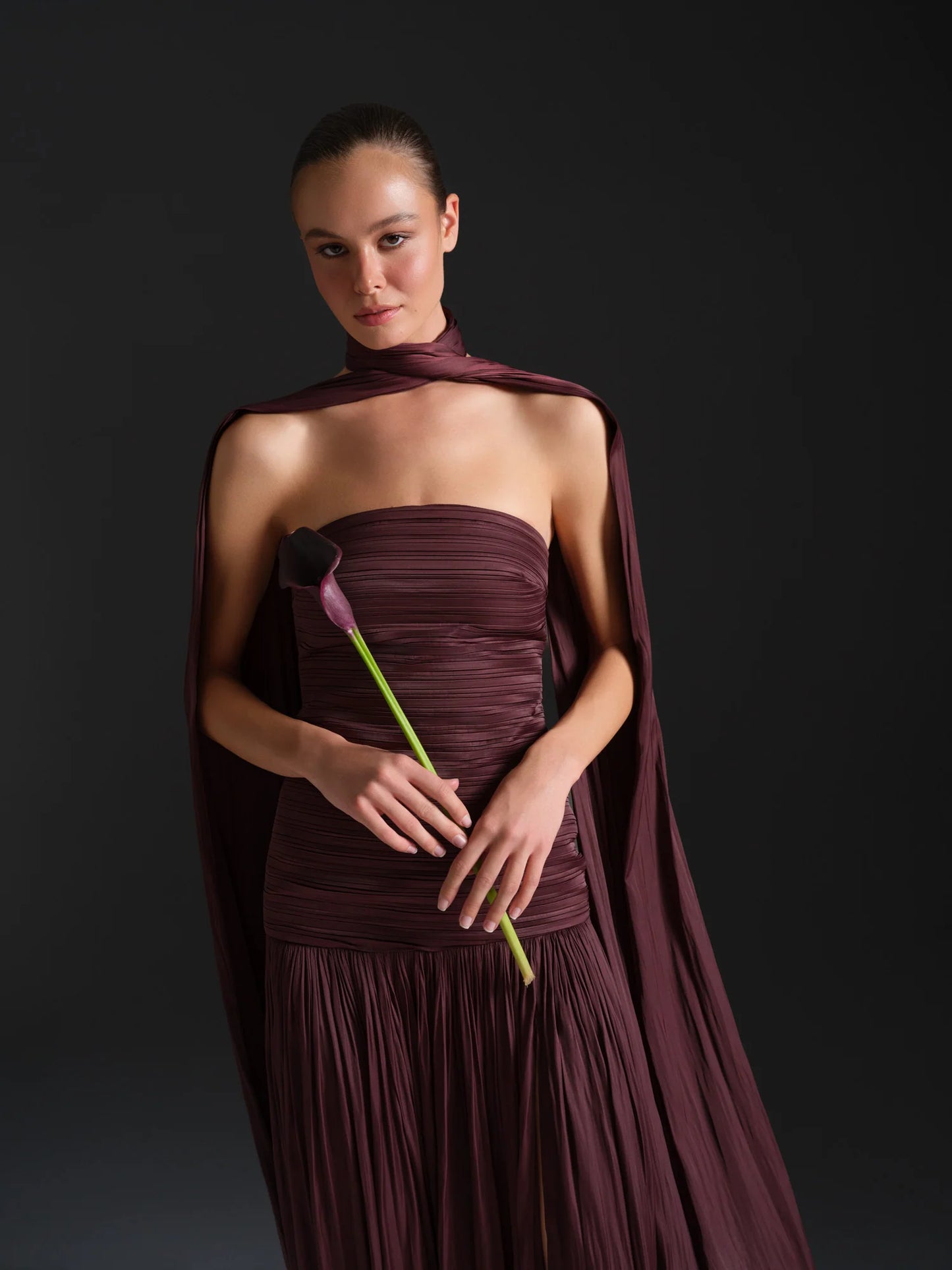 SEIZE THE DAY VALERIE DRESS
